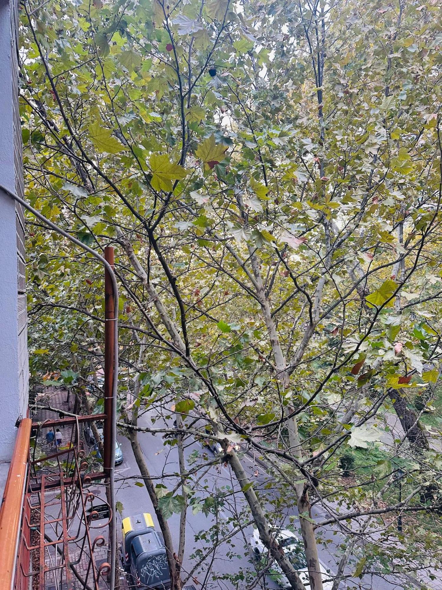 Lägenhet Premium With Balcony Tirana